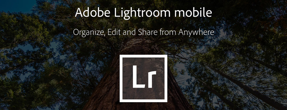 Lightroom na iPad – jak to działa?